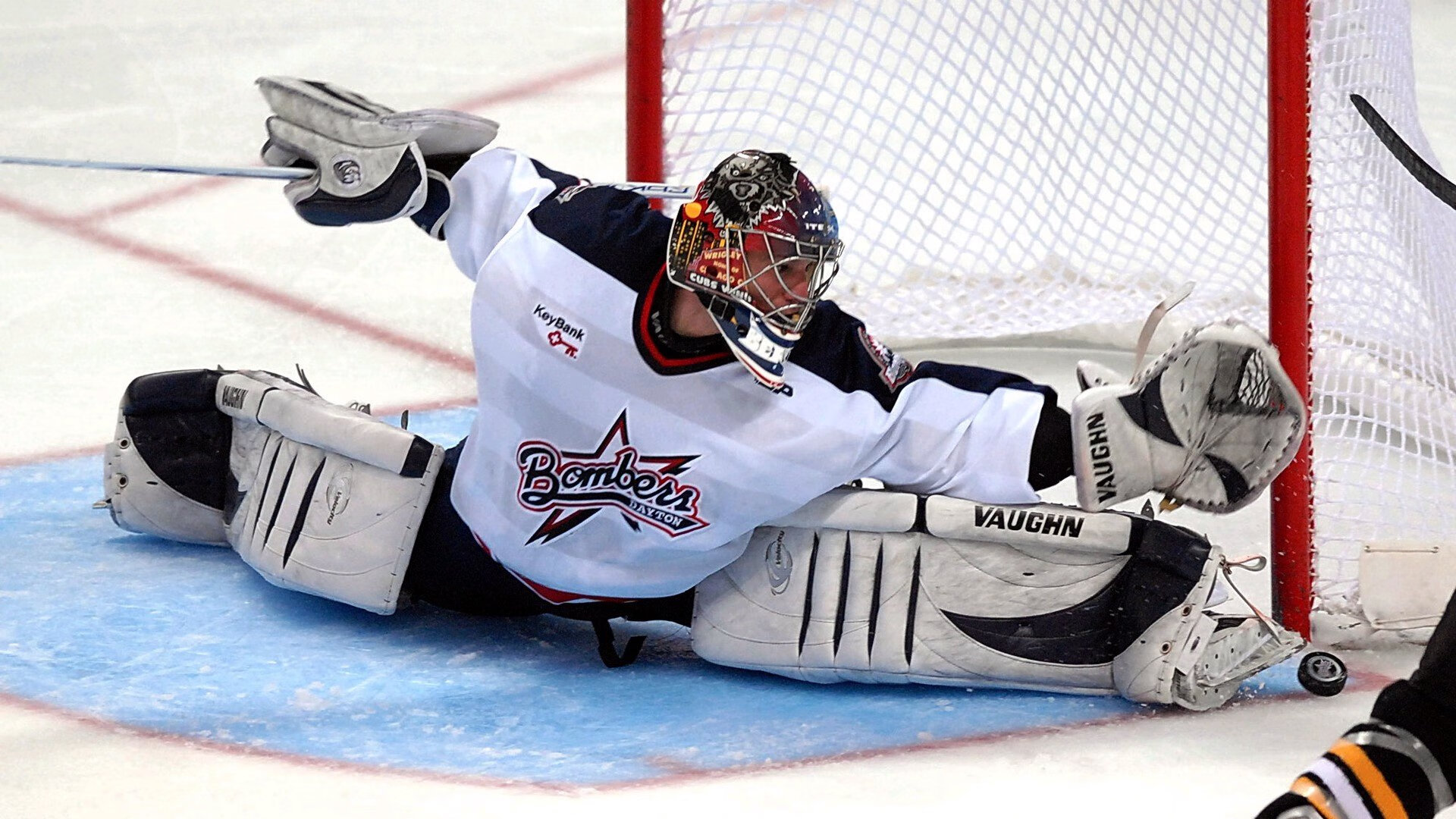 国际教练员资格证课程开放更多语种版本，国际教练协会 iac